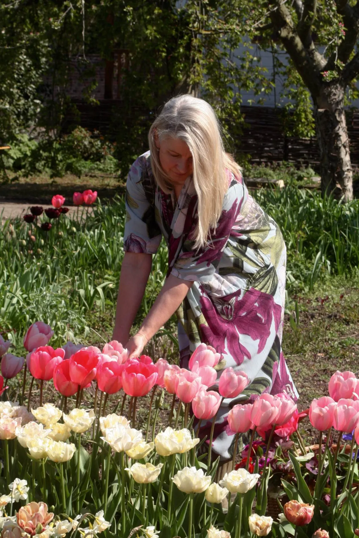 Women One Hundred Stars Kew Protea Duck Egg Rachel Dress