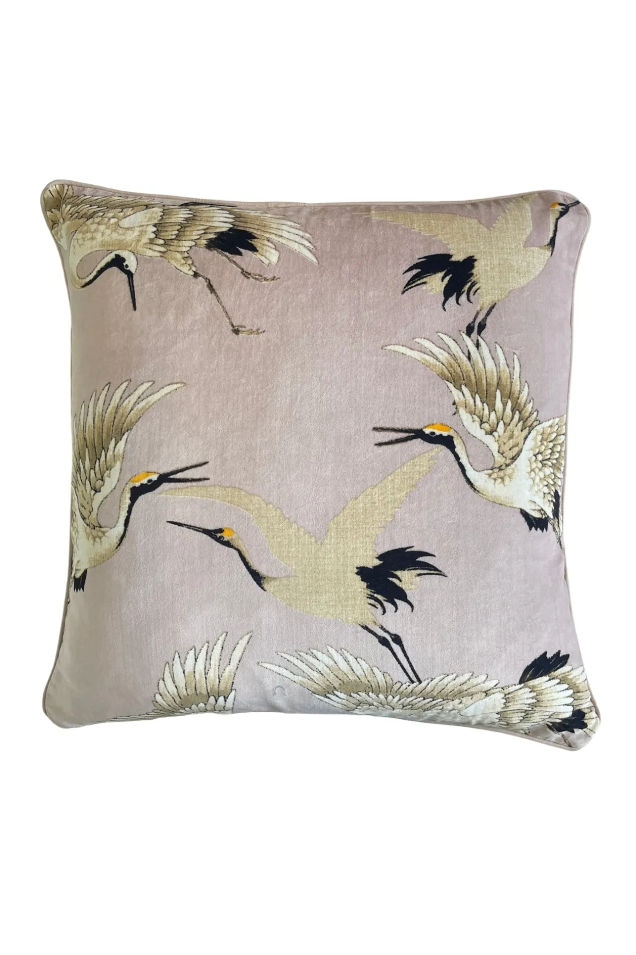 One Hundred Stars Stork Plaster Pink Square Velvet Cushion